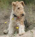 /album/fotogaleria/a2008-rocky-start-jpg/